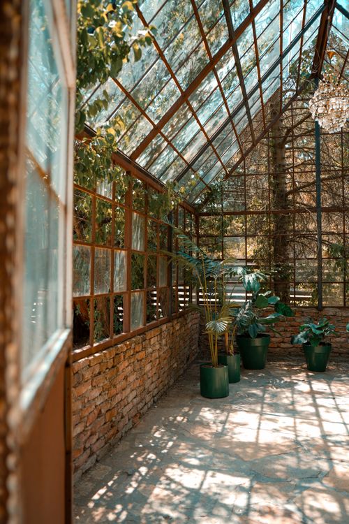 Free A cozy greenhouse filled with sunlight and potted plants, perfect for gardening enthusiasts. Stock Photo