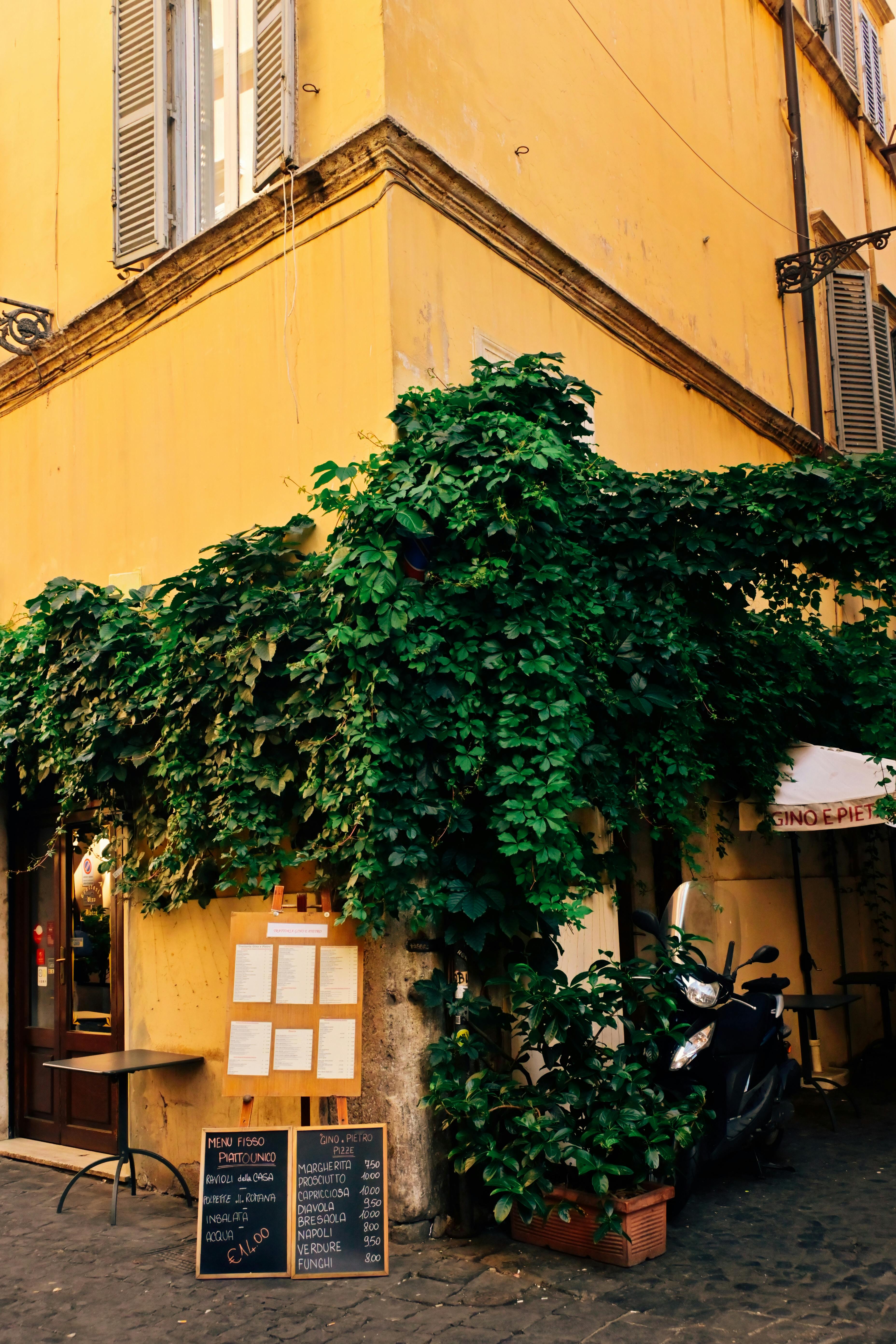 Free Yellow building corner in Rome with lush ivy, reflecting Italian charm and architectural beauty. Stock Photo