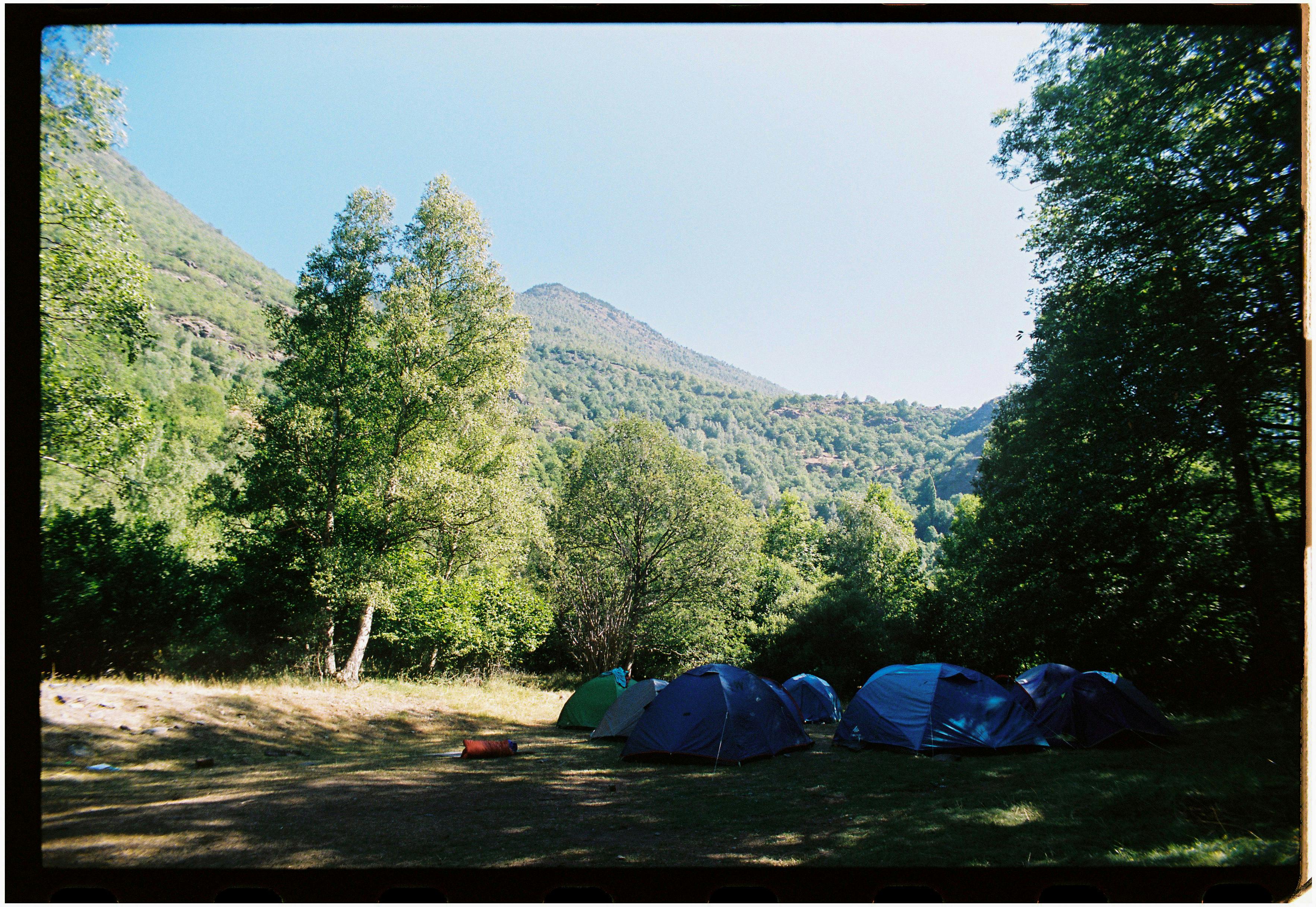 A serene campsite in a mountain forest with multiple tents set up under clear skies.