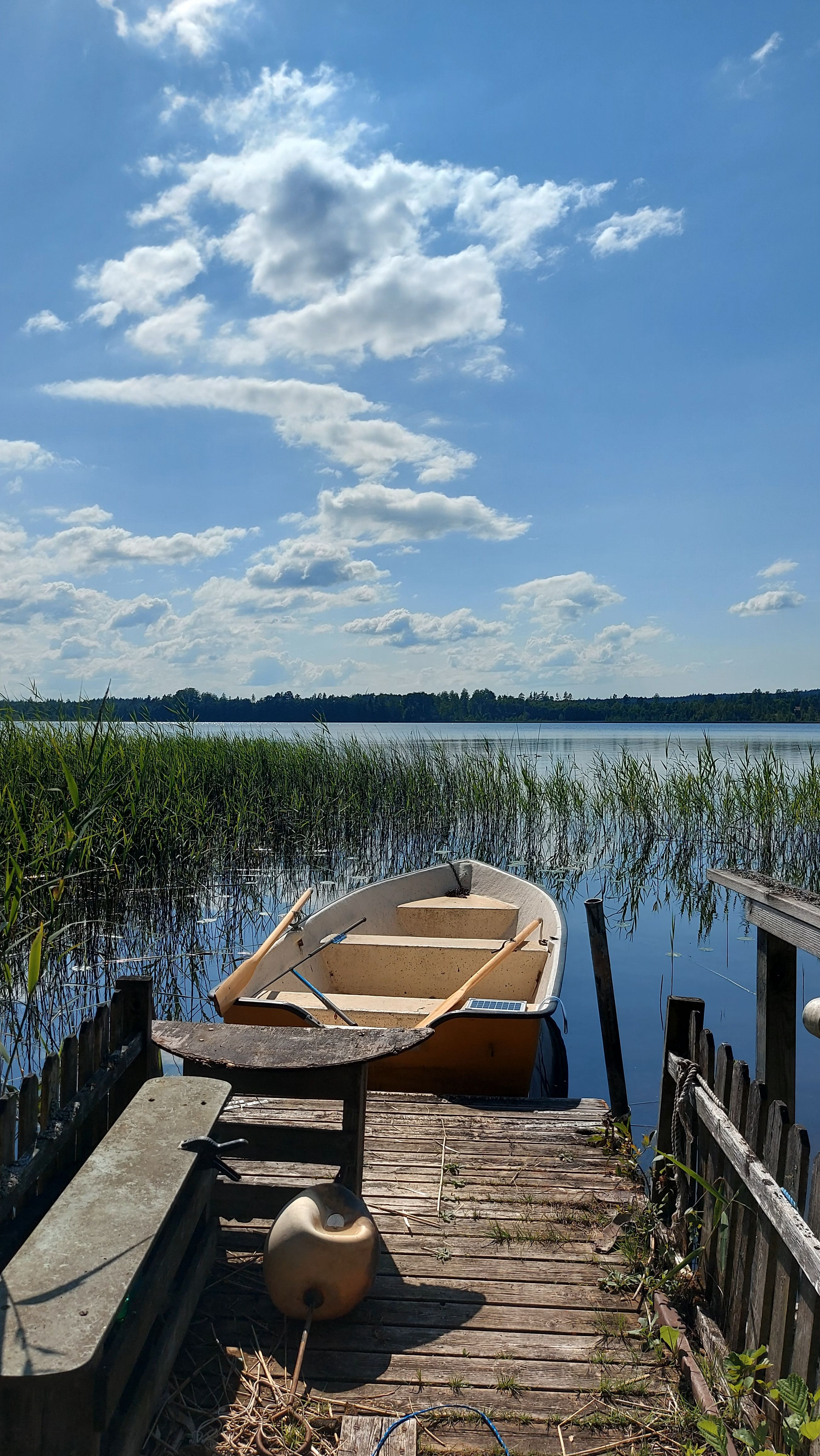 Peaceful lakeside scene with a wooden dock and rowboat under a bright sky.