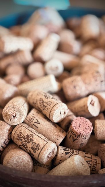 Sustainable Winemaking in the Barossa Sustainable Winemaking in the Barossa