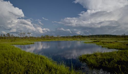 Free Tranquil wetland scene with a reflective pond and expansive sky. Stock Photo