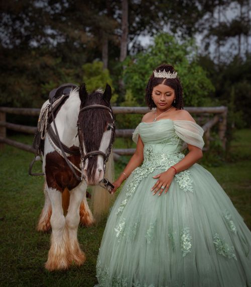 Free A young woman in a glamorous dress stands with a horse in the lush outdoors of Santo Domingo, Ecuador. Stock Photo