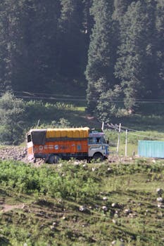 Vibrant truck traversing a scenic mountain route with lush greenery and tall trees.