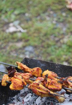 Mouthwatering grilled chicken skewers sizzling over hot coals, perfect for a summer barbecue.