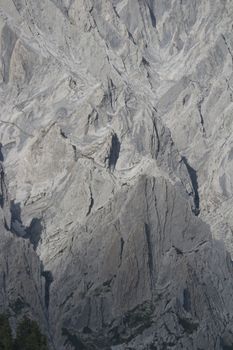 Detailed close-up of limestone rock formation showcasing natural texture and pattern.