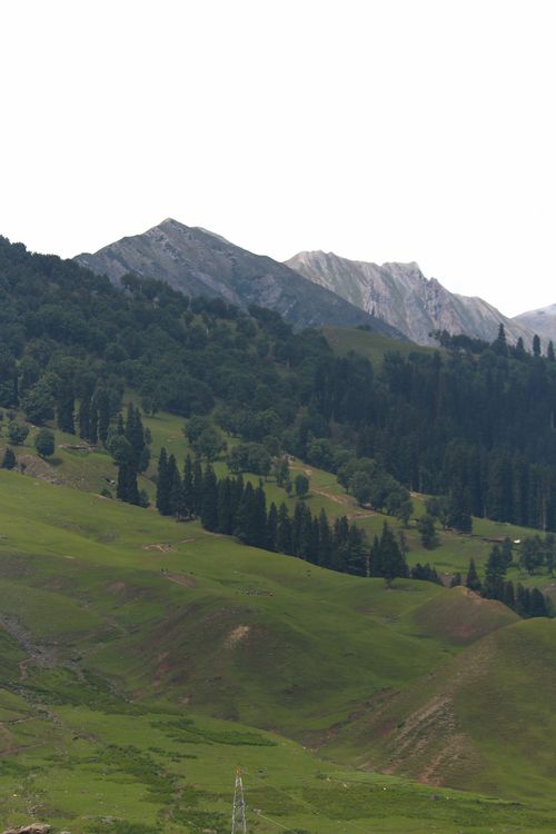 Free Beautiful mountain landscape showcasing lush greenery and forested hills. Stock Photo