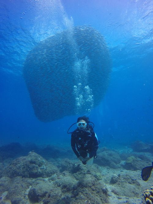 Free Diver explores under the ocean near Saipan, surrounded by a swirling school of fish. Stock Photo