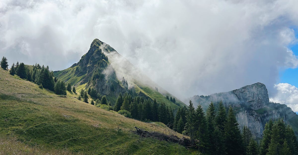 Murphys, CA Real Estate Market Report 2025-2026: Your Guide to Homes for Sale