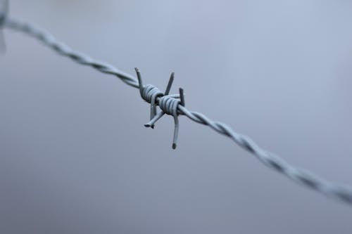Free Close-up of a Barbed Wire Stock Photo