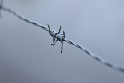 Free Detailed close-up of a barbed wire against a soft background, ideal for conceptual themes. Stock Photo