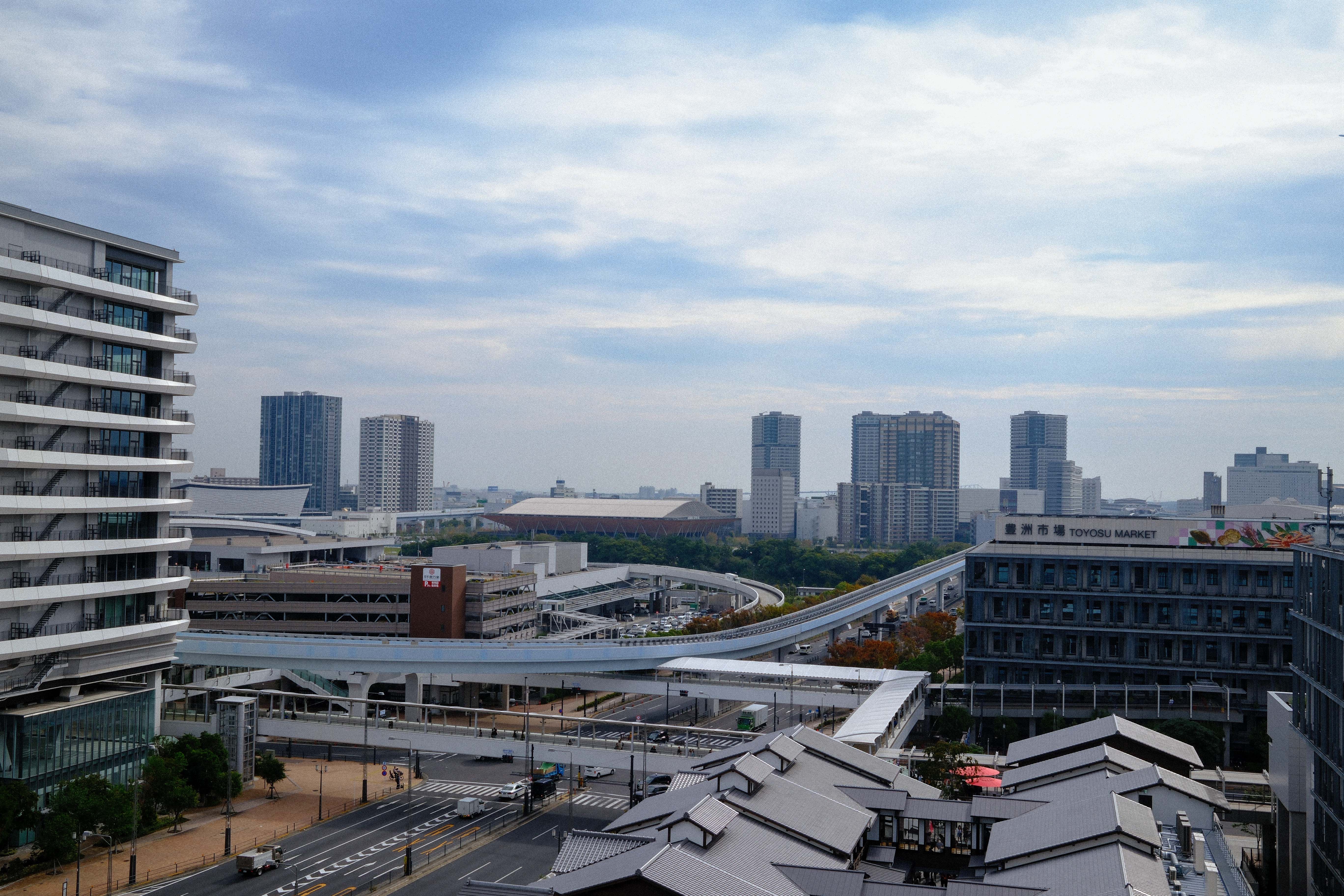 Toyosu Market