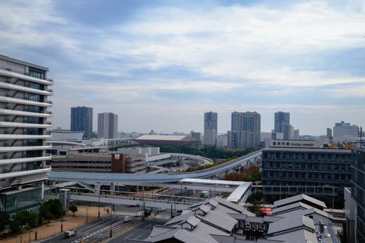 Toyosu Market