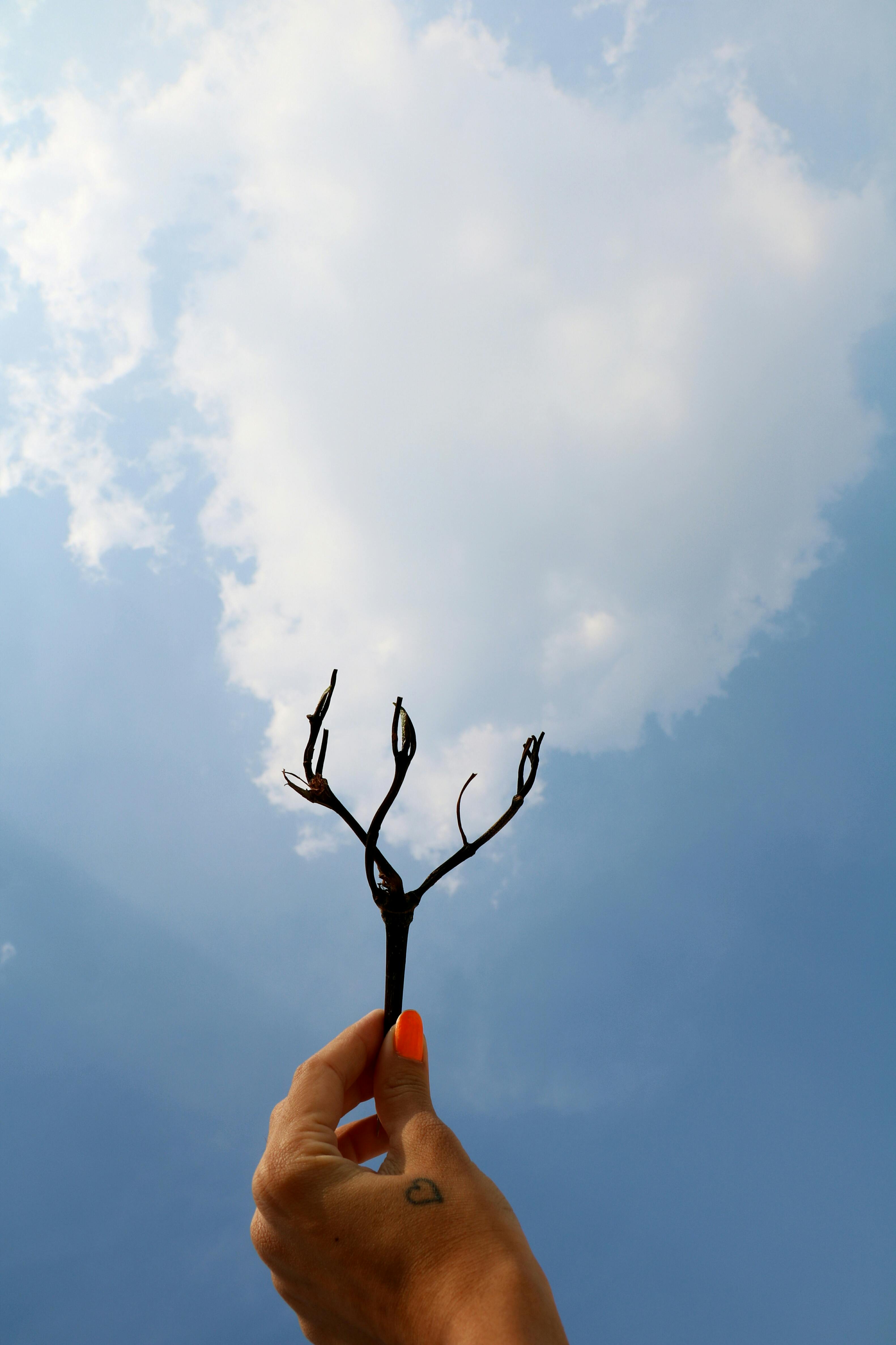 A hand holds a twig against a blue sky, creatively aligning with a cloud.