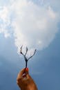 Person Holding Black Twig