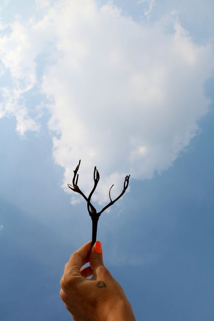 A hand holds a twig against a blue sky, creatively aligning with a cloud.
