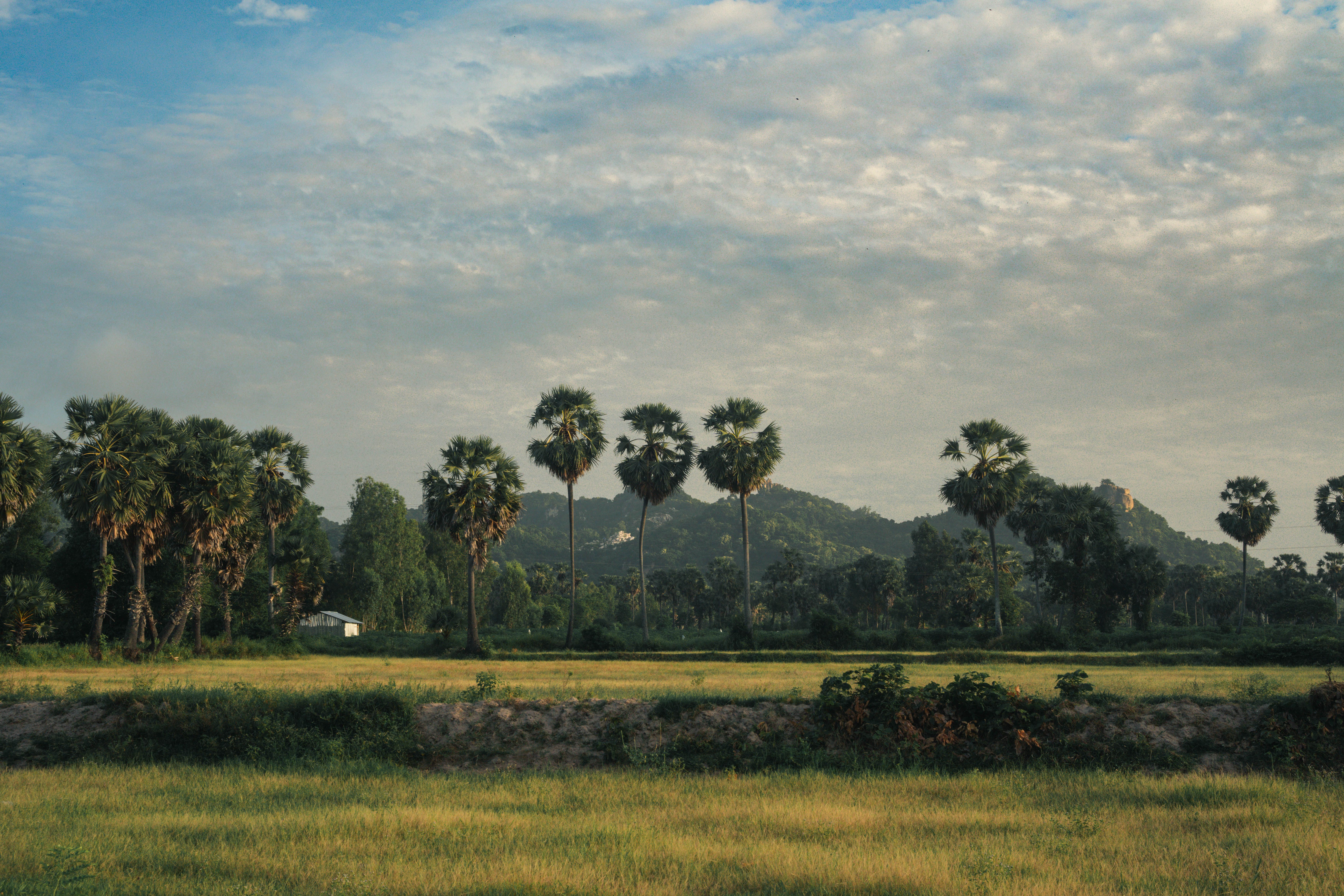 3 Day Mystic Pathways: A Shamanic Journey in Siem Reap, Cambodia 1