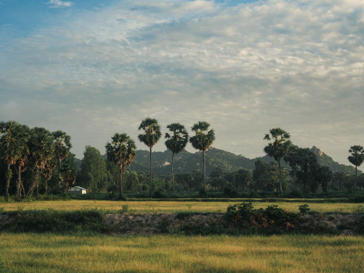 3 Day Mystic Pathways: A Shamanic Journey in Siem Reap, Cambodia 1