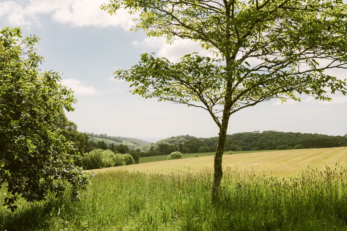 Dale Hill Natural Burial Ground, Locko Park Estates, Derby