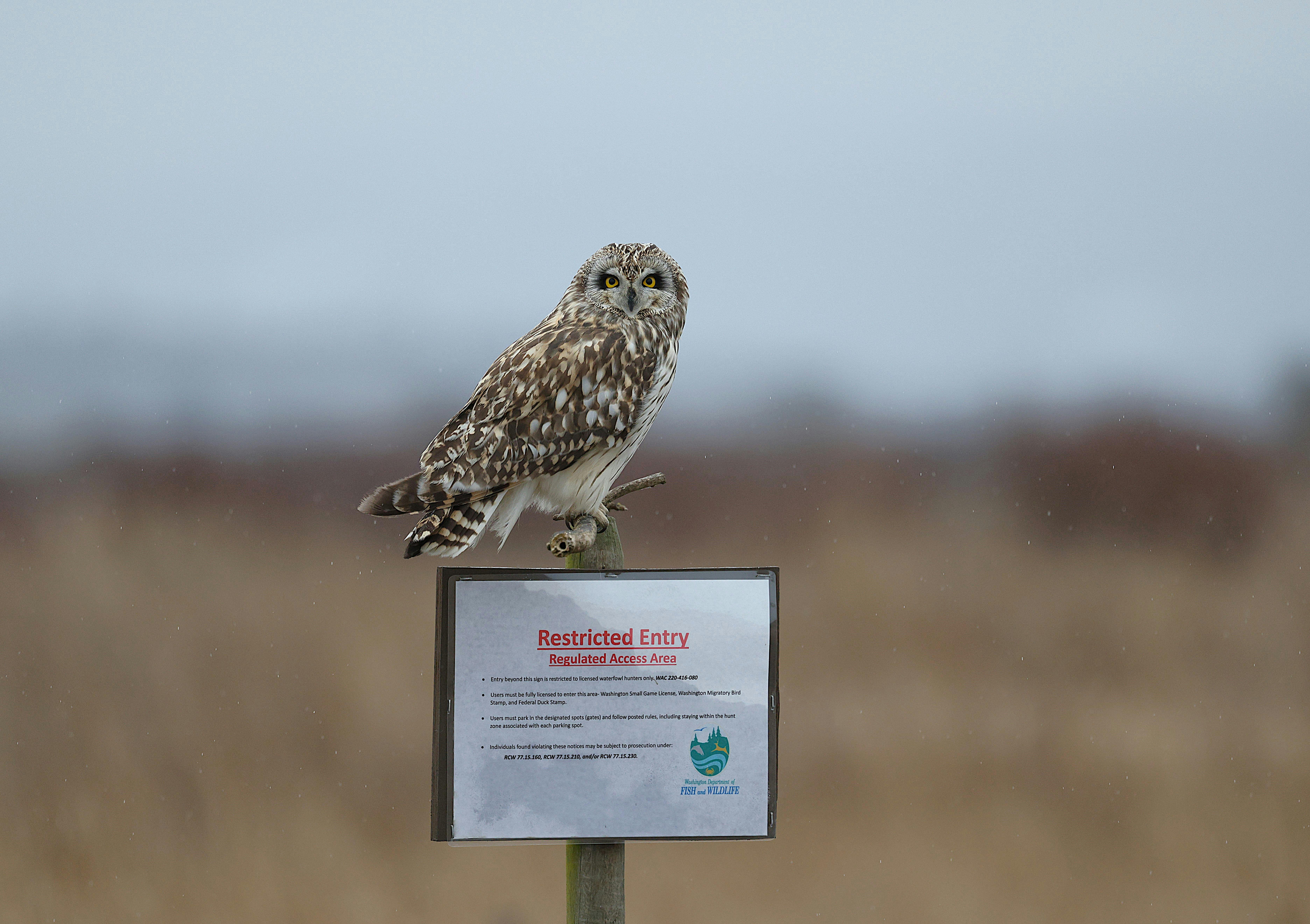 Mlilwane Wildlife Sanctuary