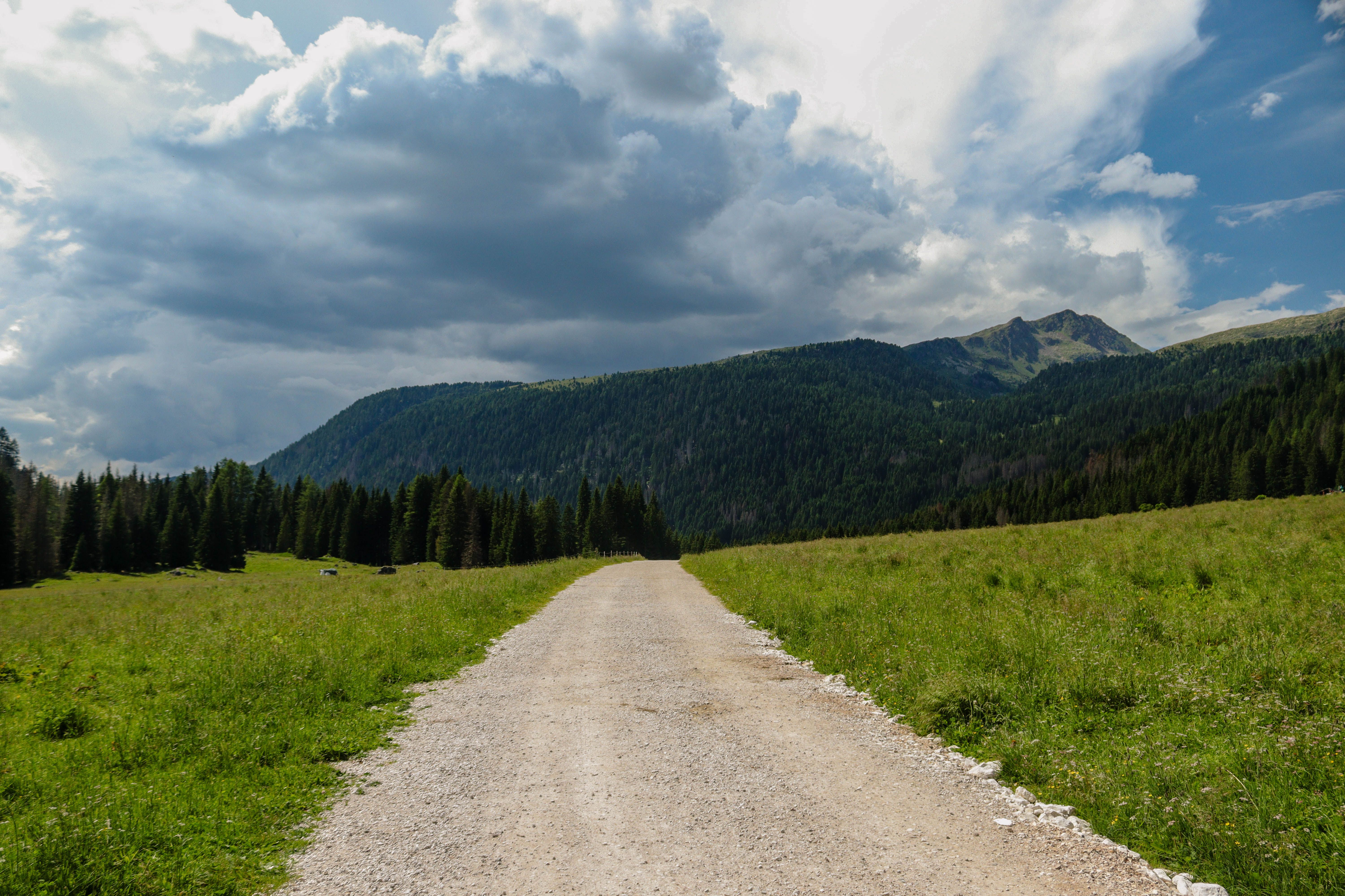 Scenic Mountain Path Through Lush Green Valley · Free Stock Photo