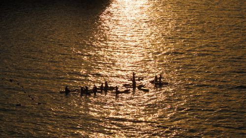 Free Group of kayakers on water with golden sunset reflection, creating a serene and adventurous mood. Stock Photo