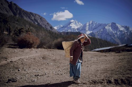 Free Elderly woman in traditional attire walks with basket in Himalayan mountains. Stock Photo