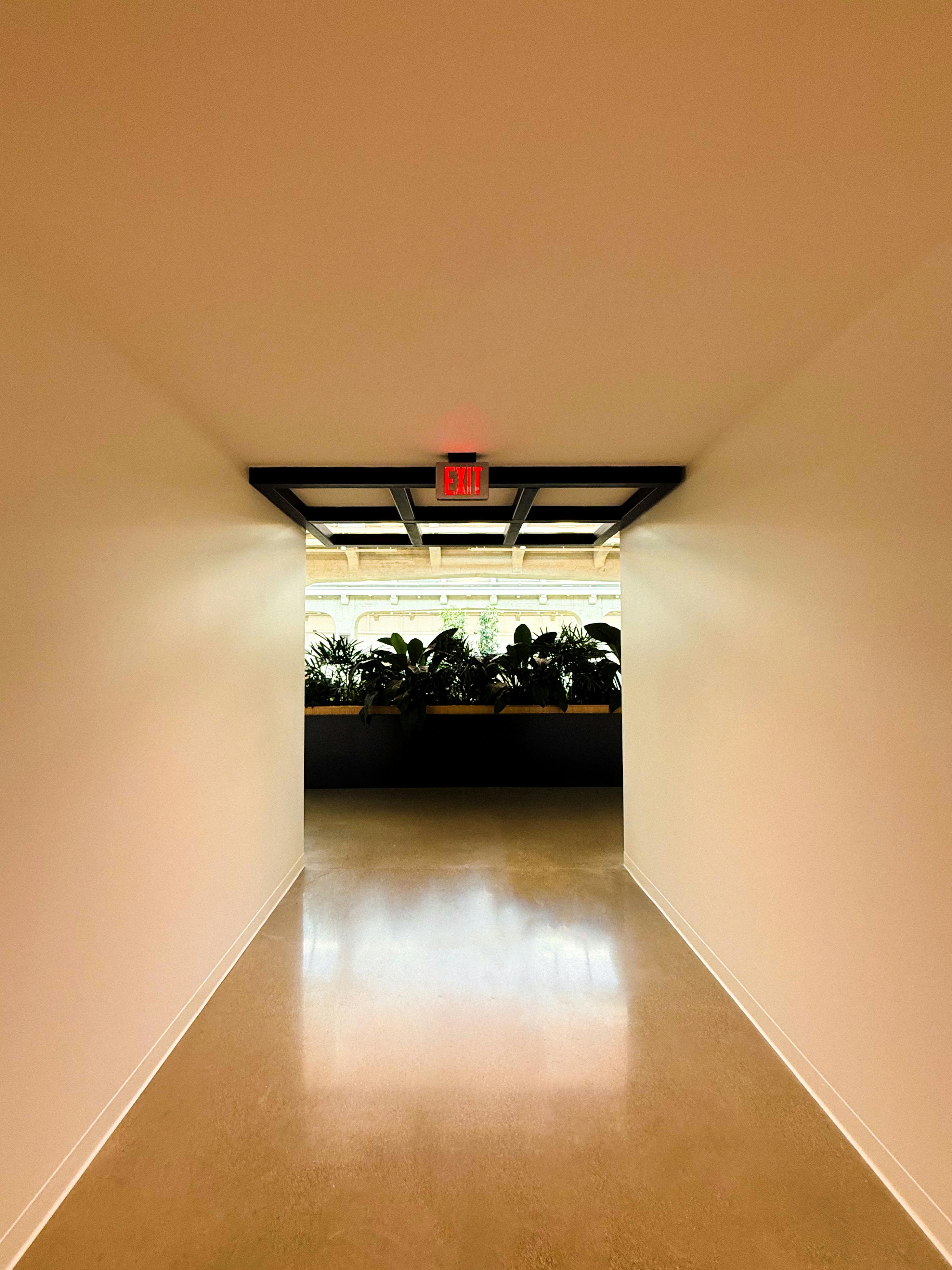 Ücretsiz Üzerinde çıkış tabelası bulunan, iç mekan bahçesine açılan minimalist bir koridor. Stok Fotoğraflar