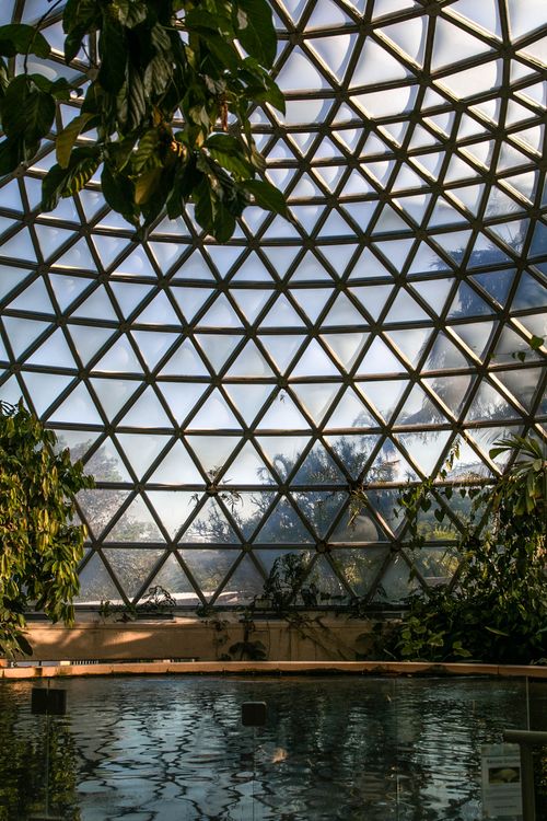 Free Stunning view inside the tropical dome at Mount Coot-Tha in Queensland, showcasing lush plants and a geometric glass structure. Stock Photo