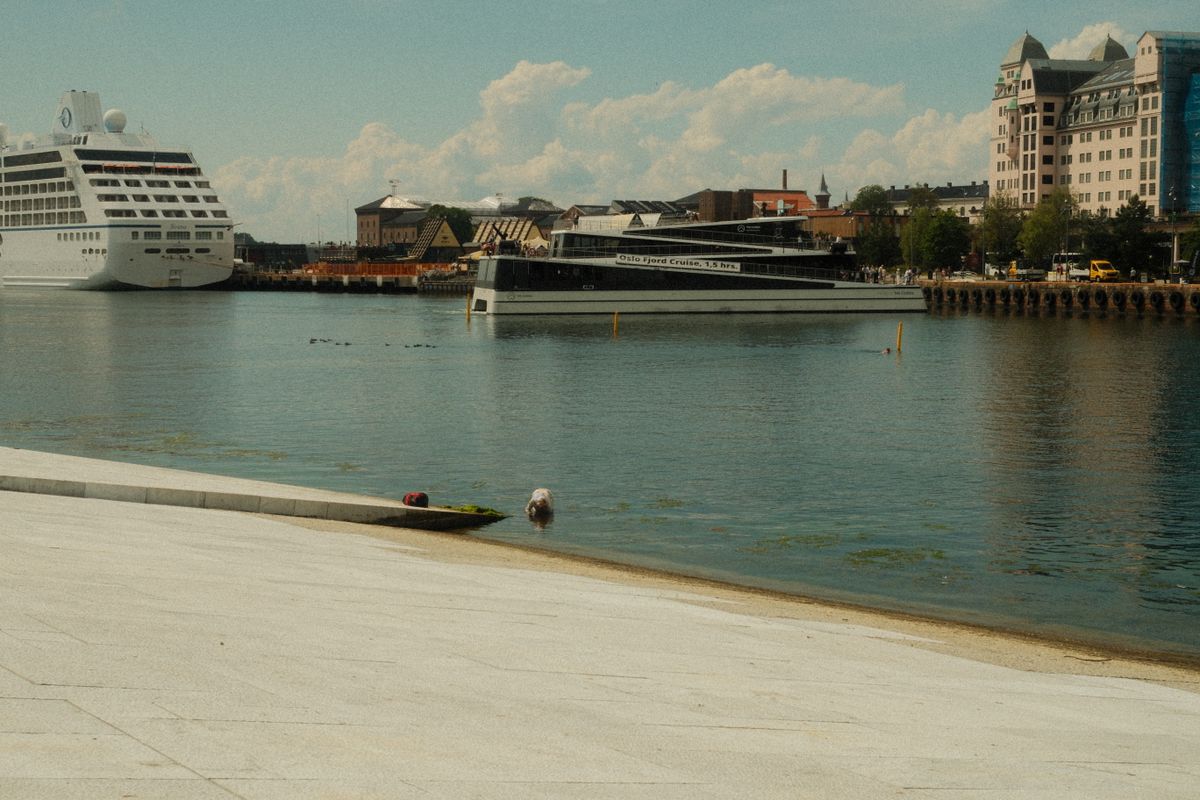Cruise ships and Oslo harbour buildings on a sunny day