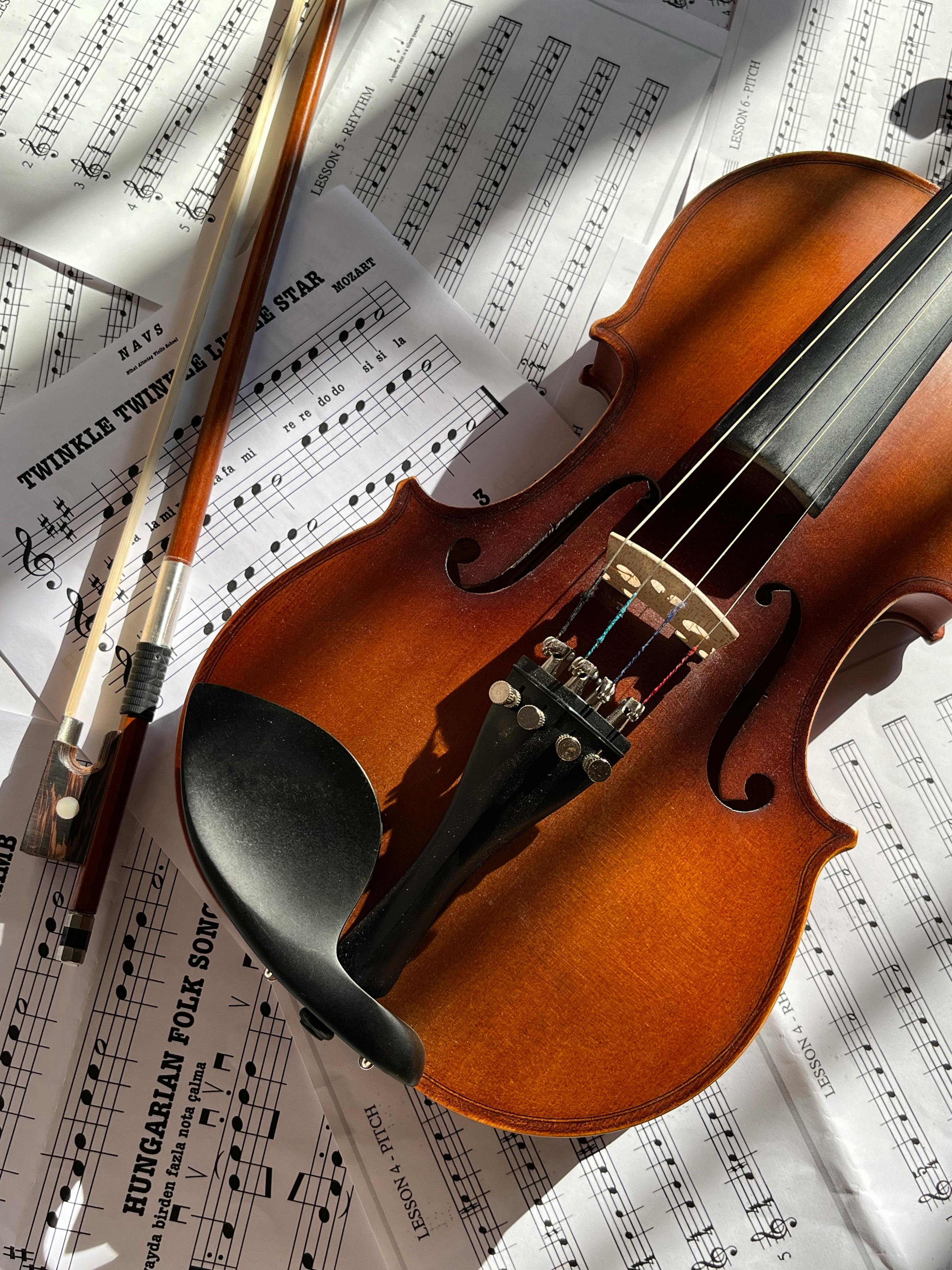 The Melodies of Vienna: A Symphony of Sound