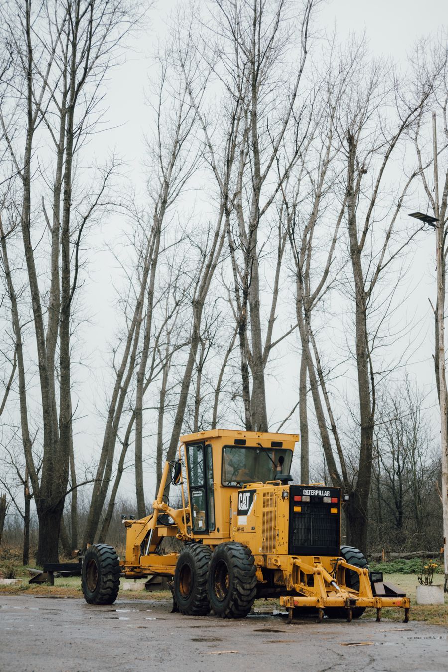 Bulldozer working in a wooded area