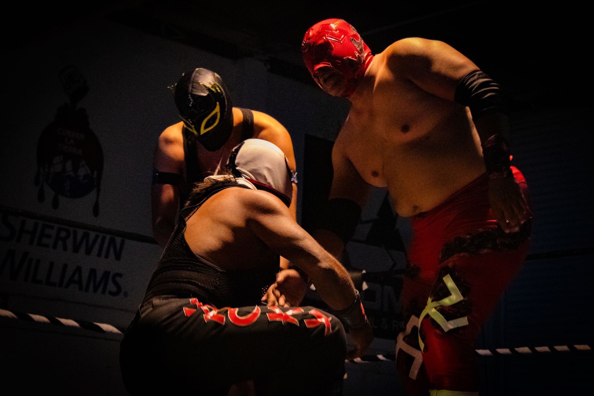 Masked wrestlers perform during an intense lucha libre match in León, Mexico.