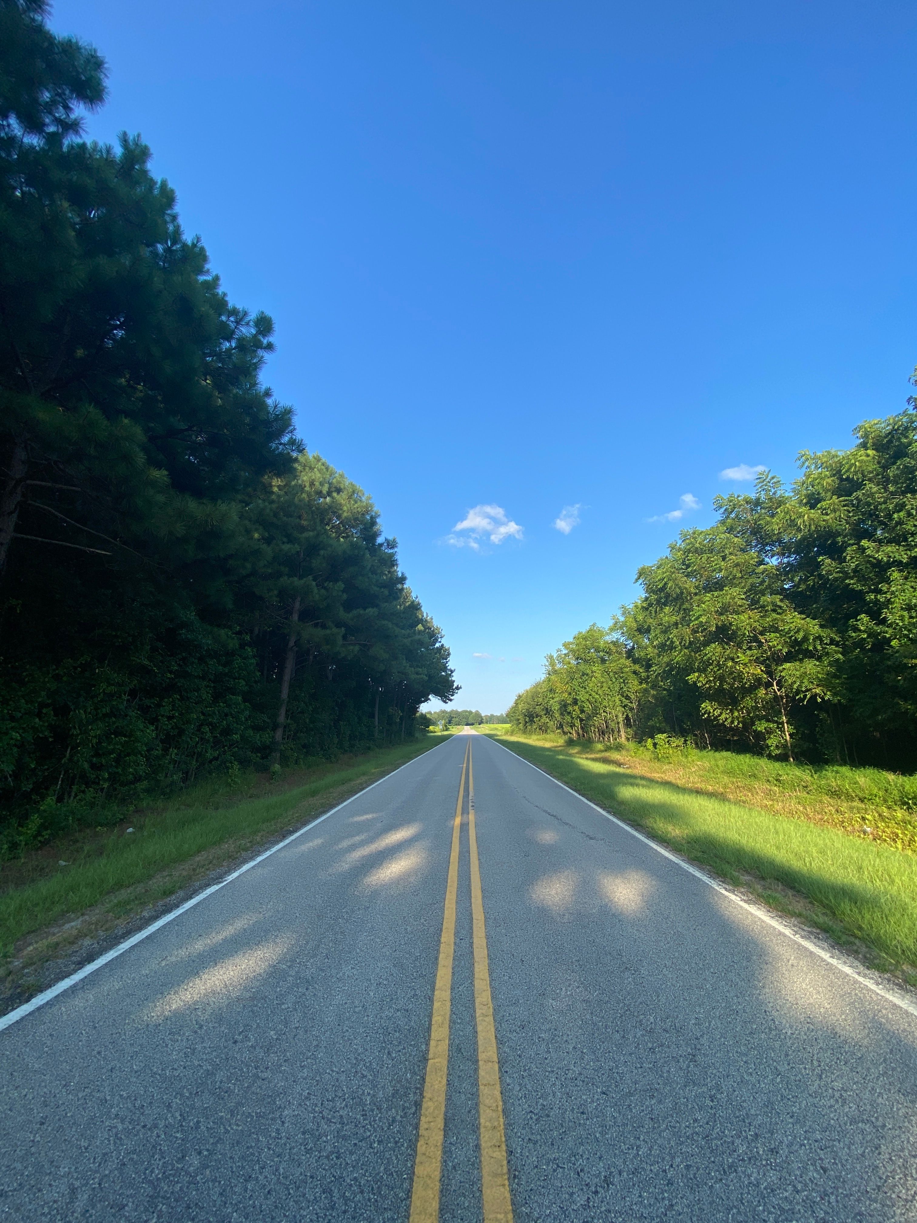 Empty road through lush forest under blue sky, Elm City, North Carolina, summertime travel scene.