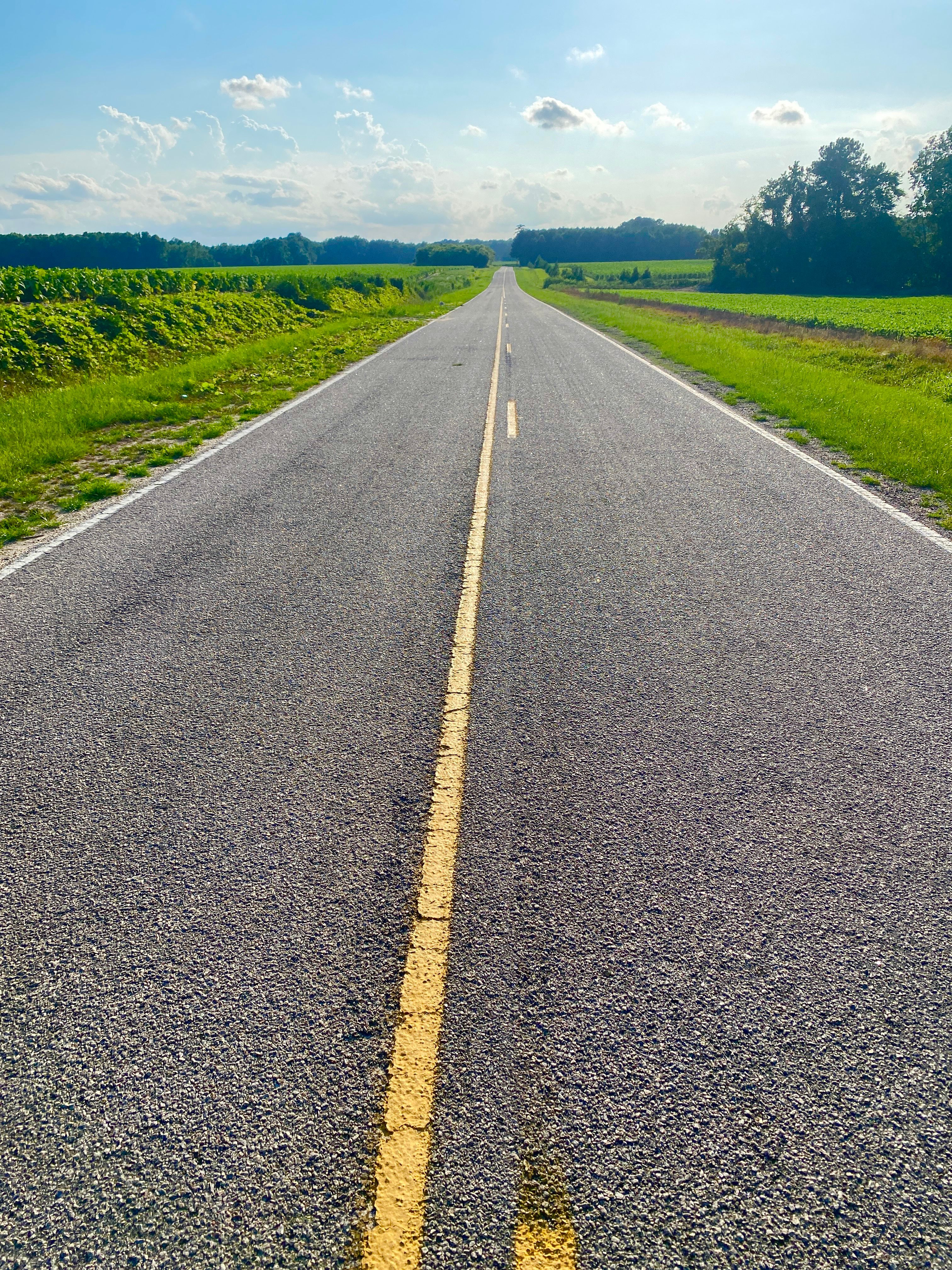 Road With Trees · Free Stock Photo