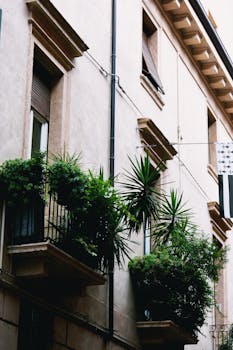 一栋现代住宅楼的外墙上，有着郁郁葱葱的绿色阳台和大窗户