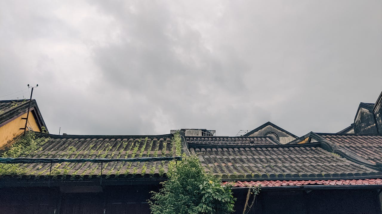 Thám tử lừng danh Conan | Chương 0356