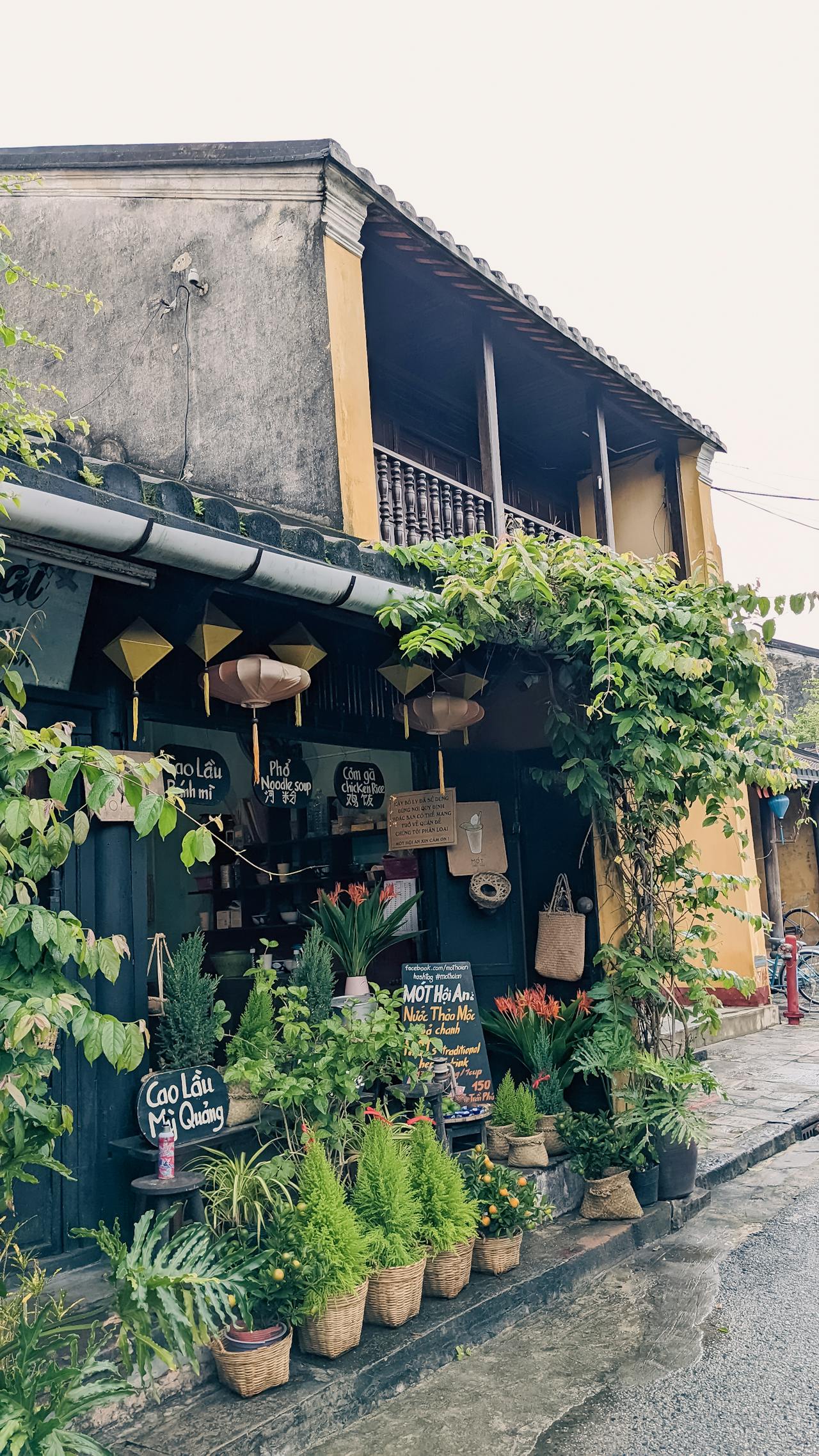 Cẩm nang du lịch Hạ Long