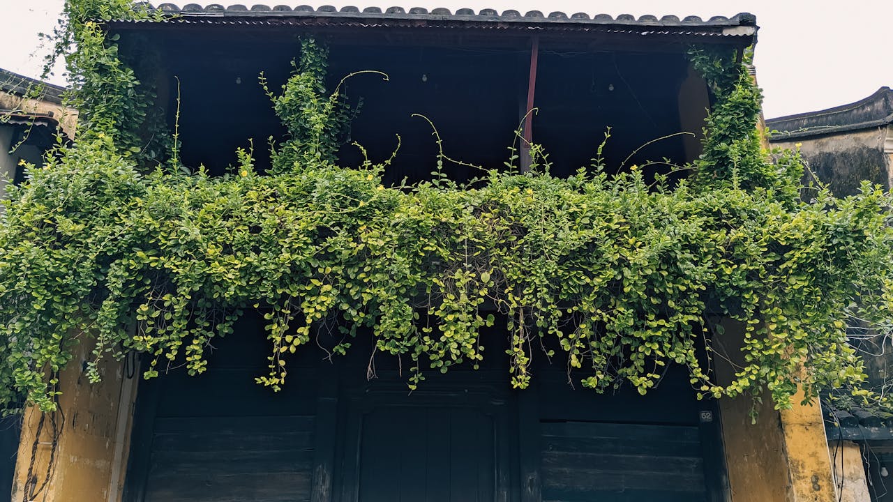 Tiếng nói bị lãng quên – Lịch sử và đấu tranh của cộng đồng Do Thái Mizrahi