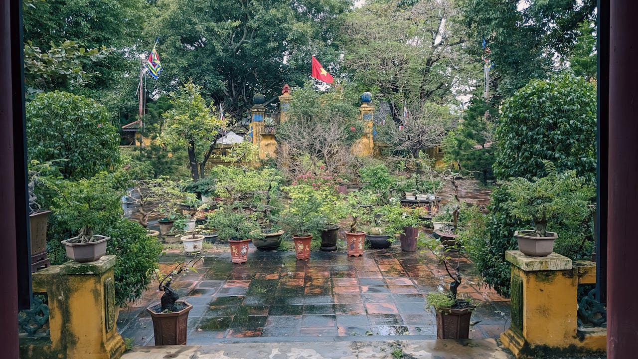 Những ngọn gió hua tát