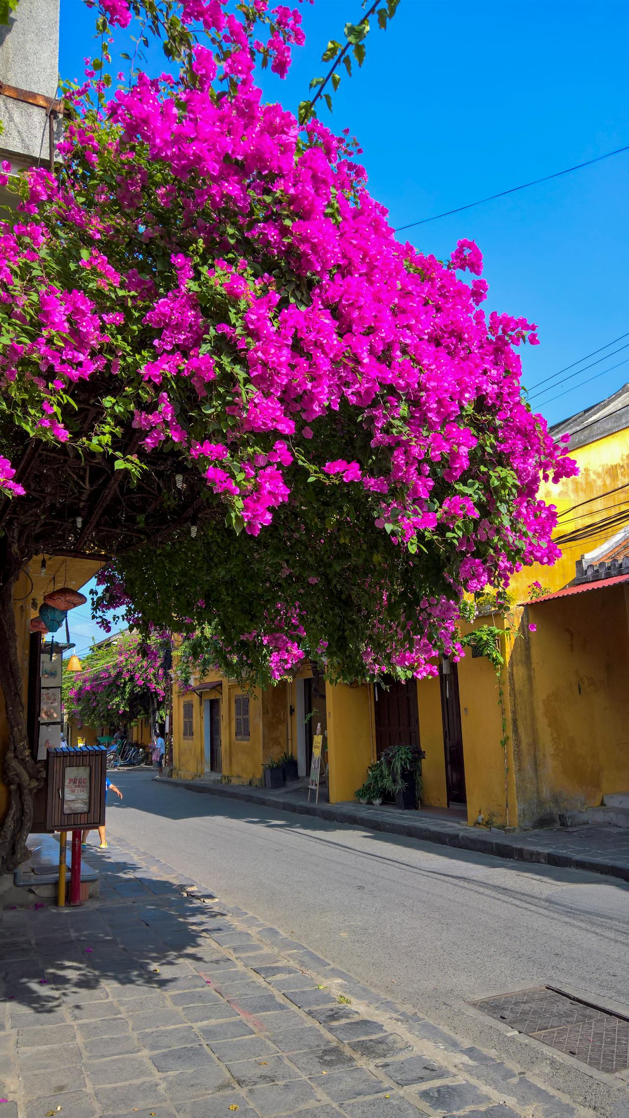 Cẩm nang du lịch Cà Mau