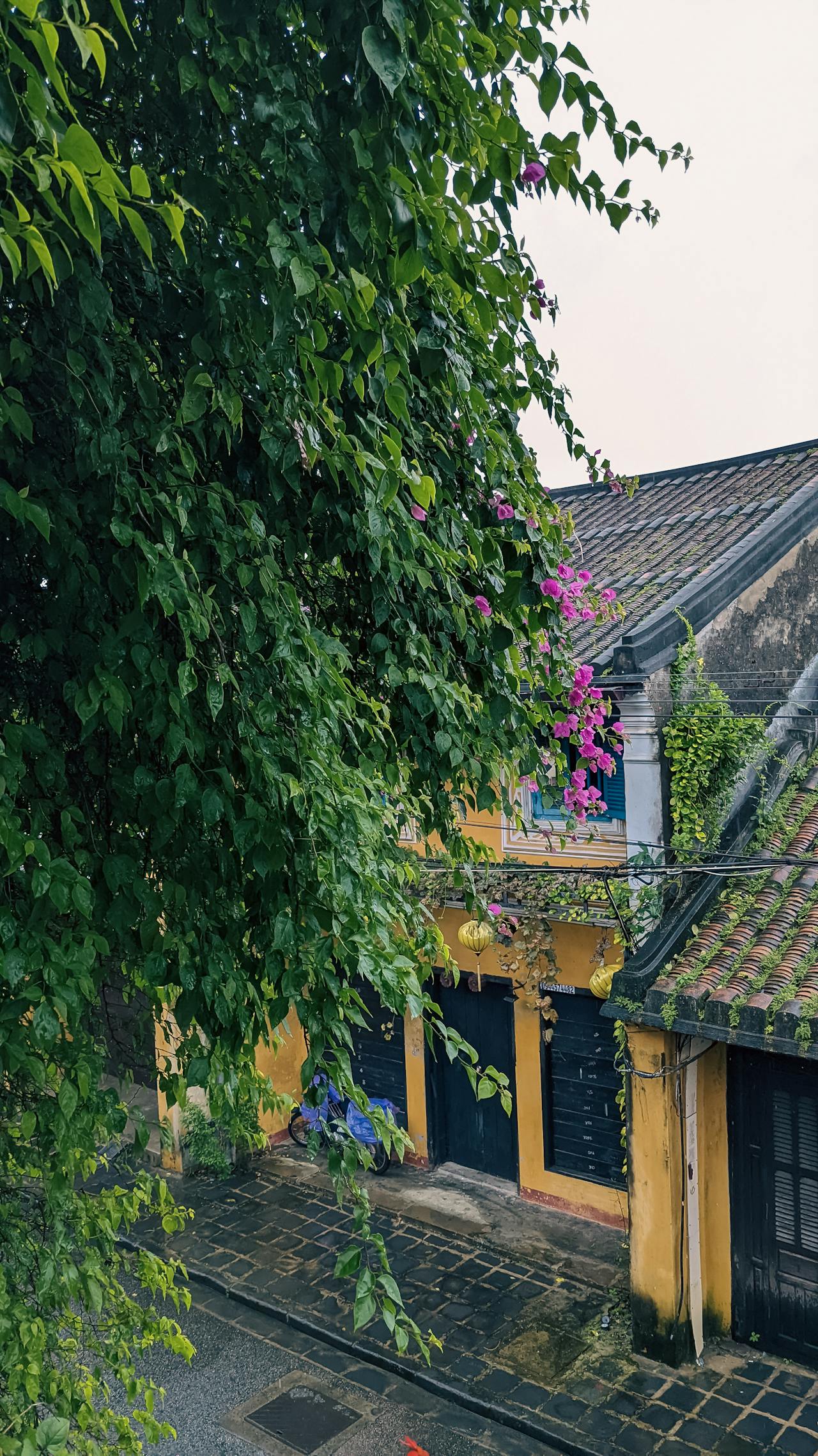 Thiên long bát bộ | Chương 38