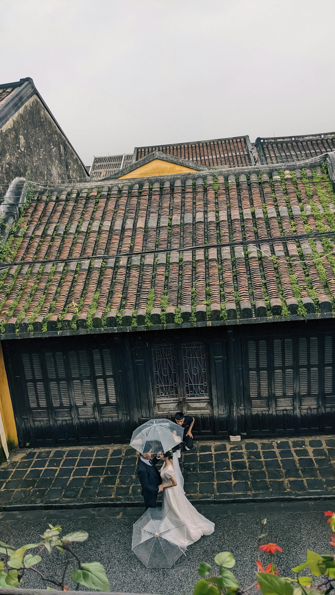 Giọng văn trong viết lách là gì?