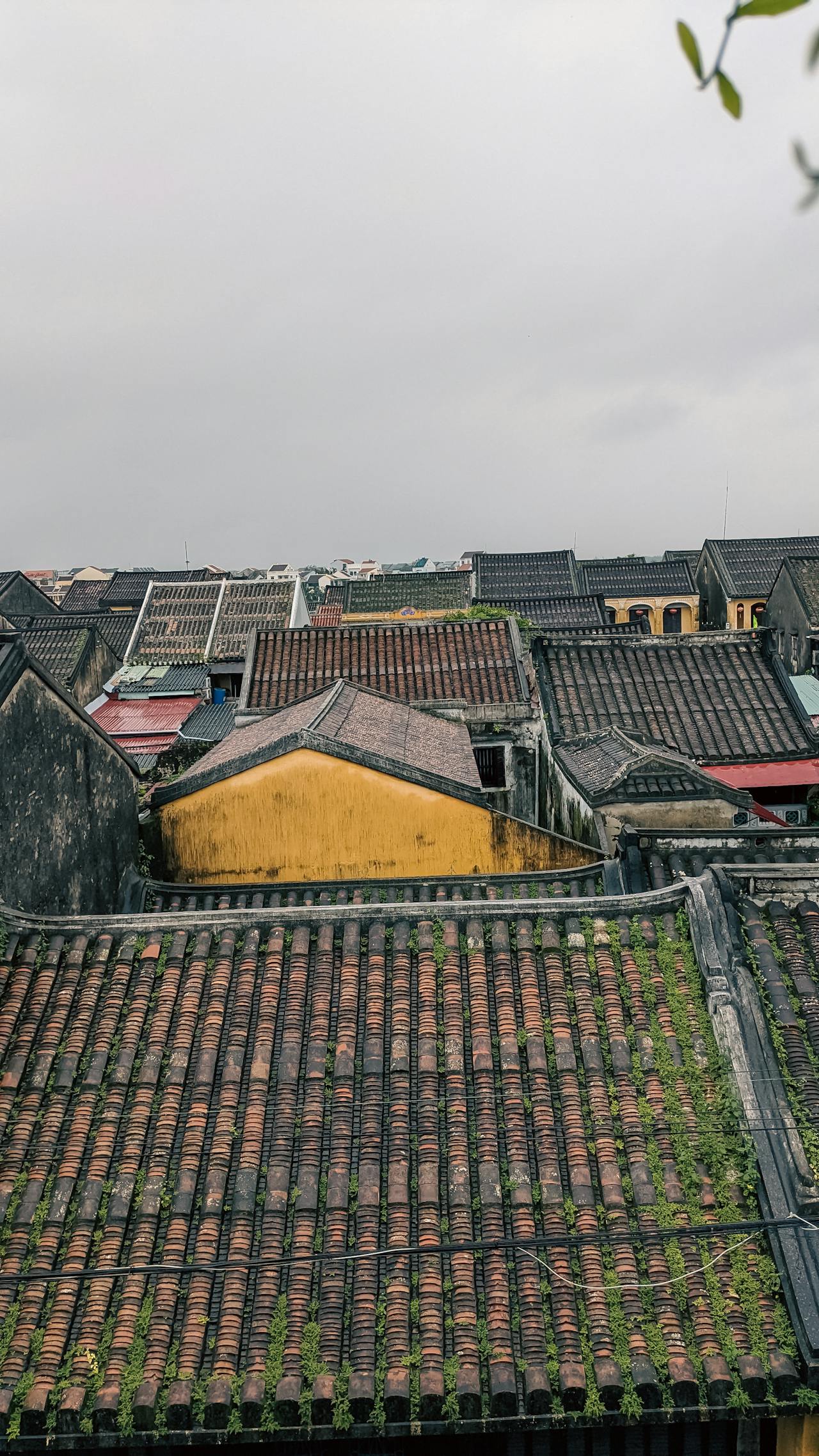 Viết bài văn nghị luận nêu suy nghĩ của em về tác dụng của việc học