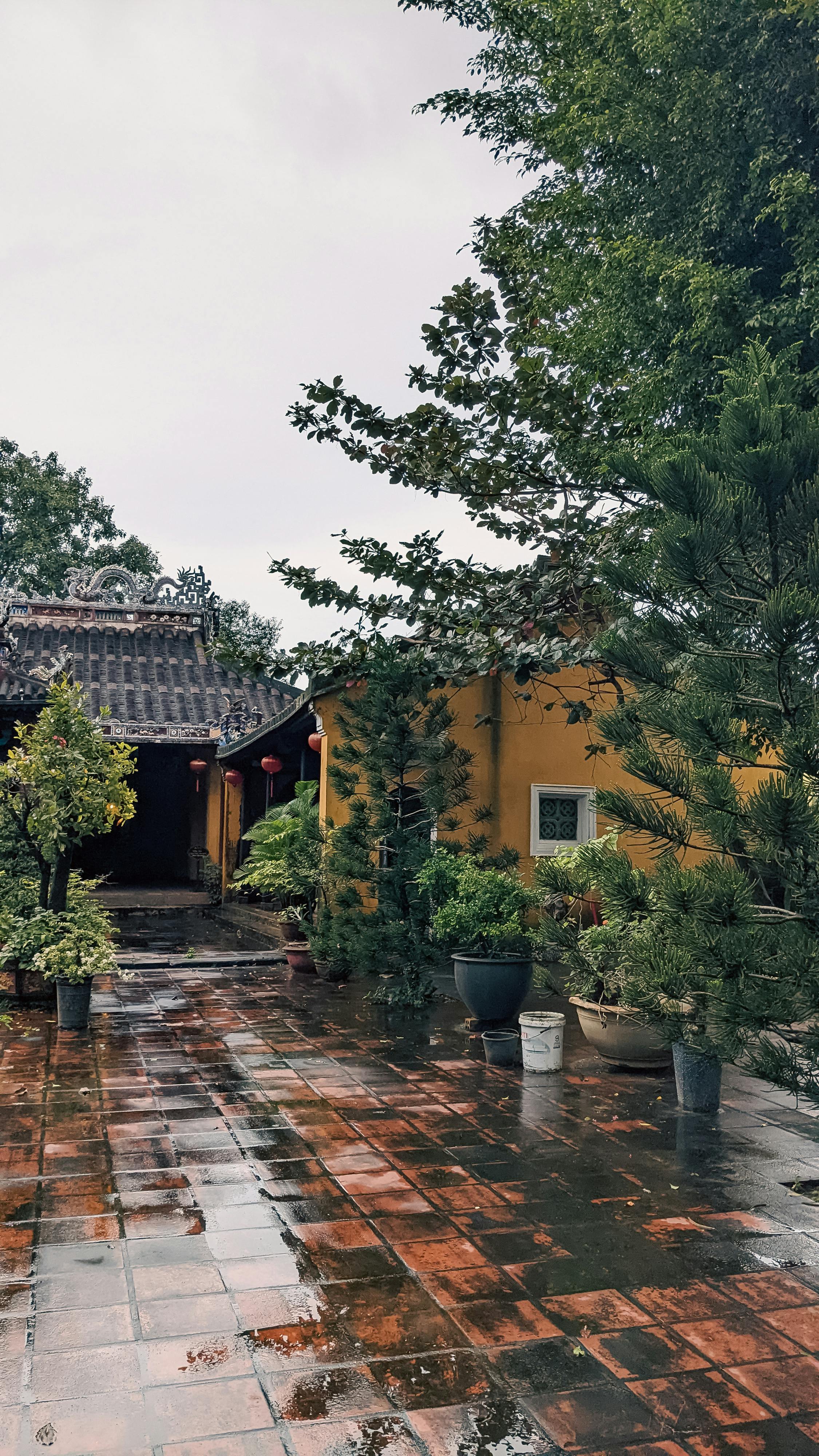 Tại sao khối lượng quán tính và khối lượng hấp dẫn lại tương đương?