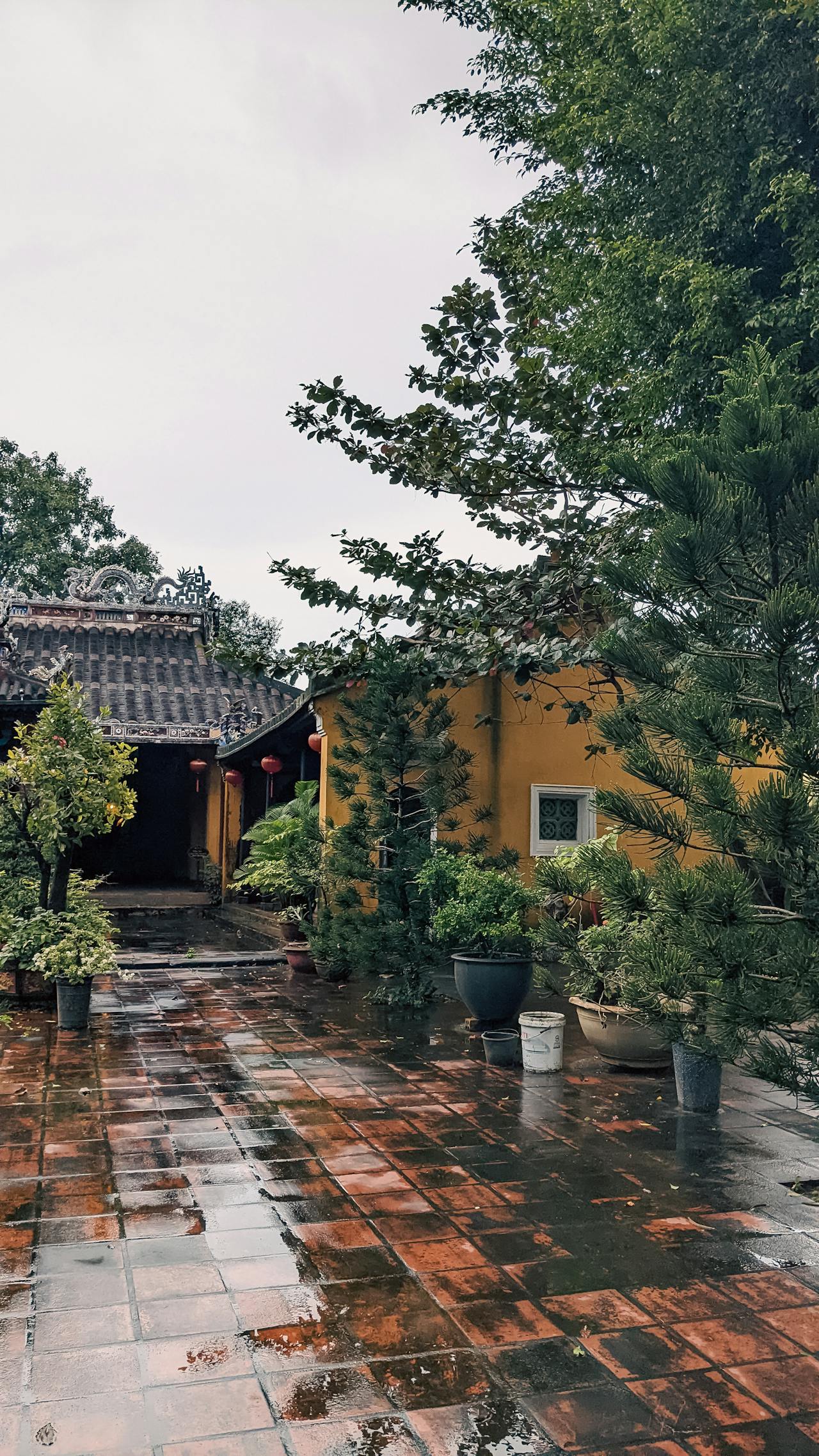 Hiểu về trái tim | Chương 45