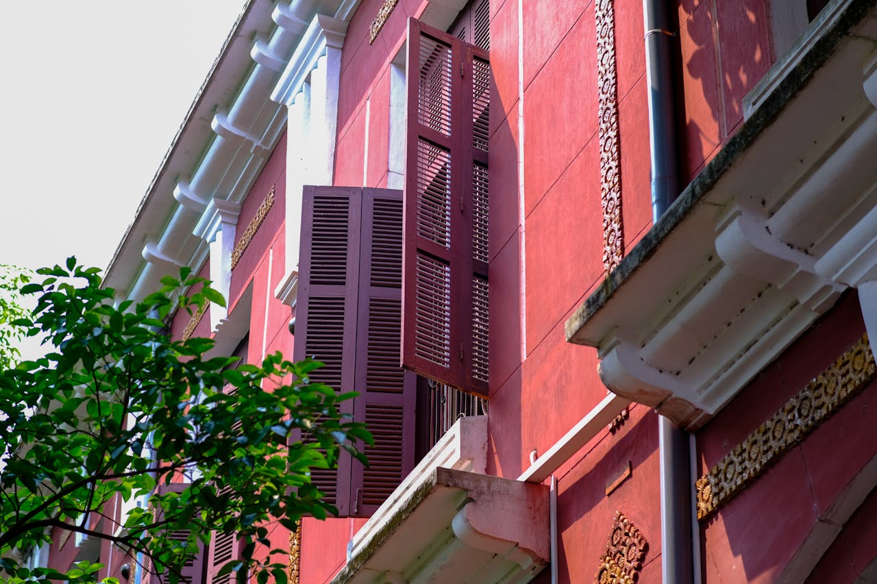 Vì sao gấu trúc có màu lông đen và trắng?