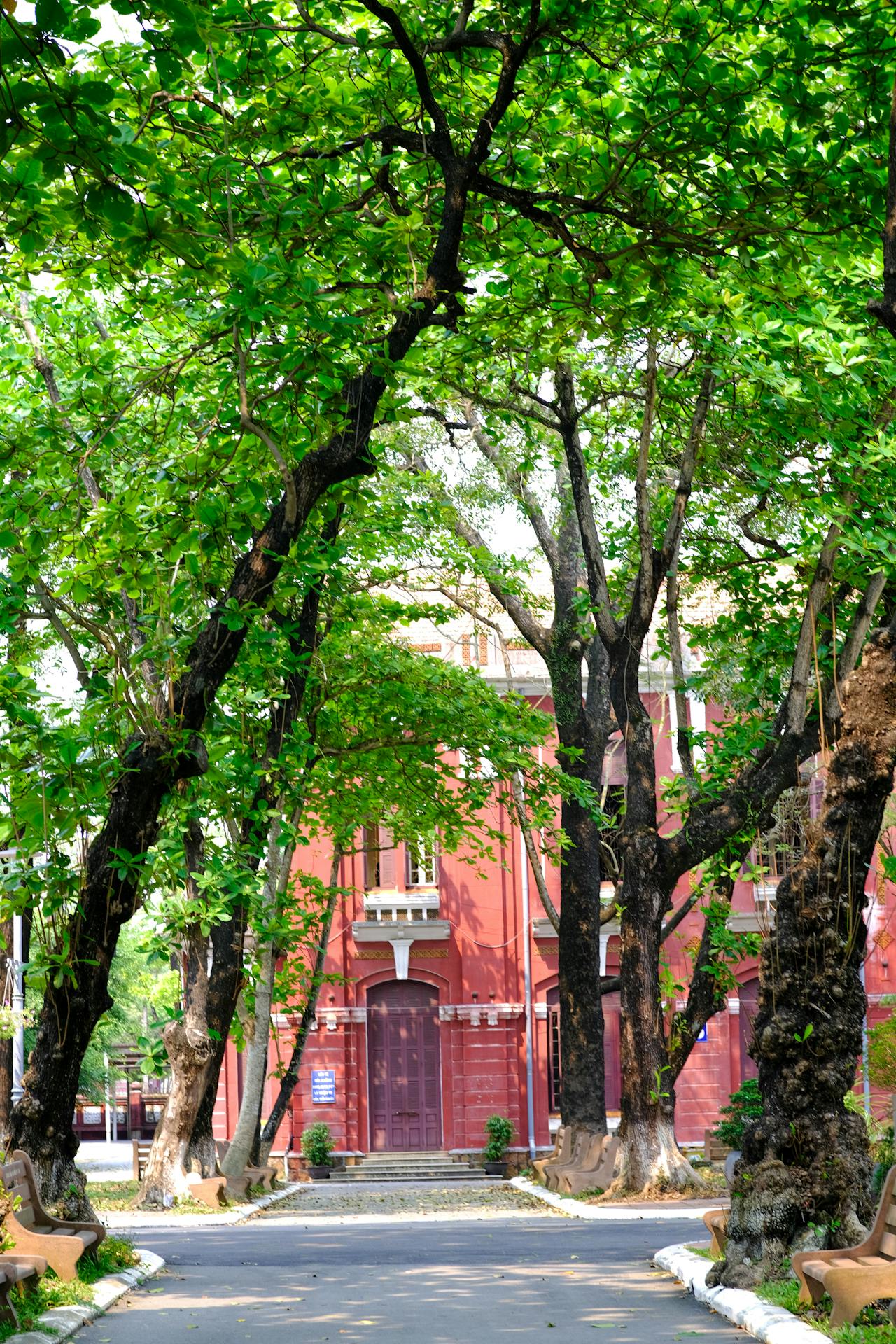 Thám tử lừng danh Conan | Chương 0462