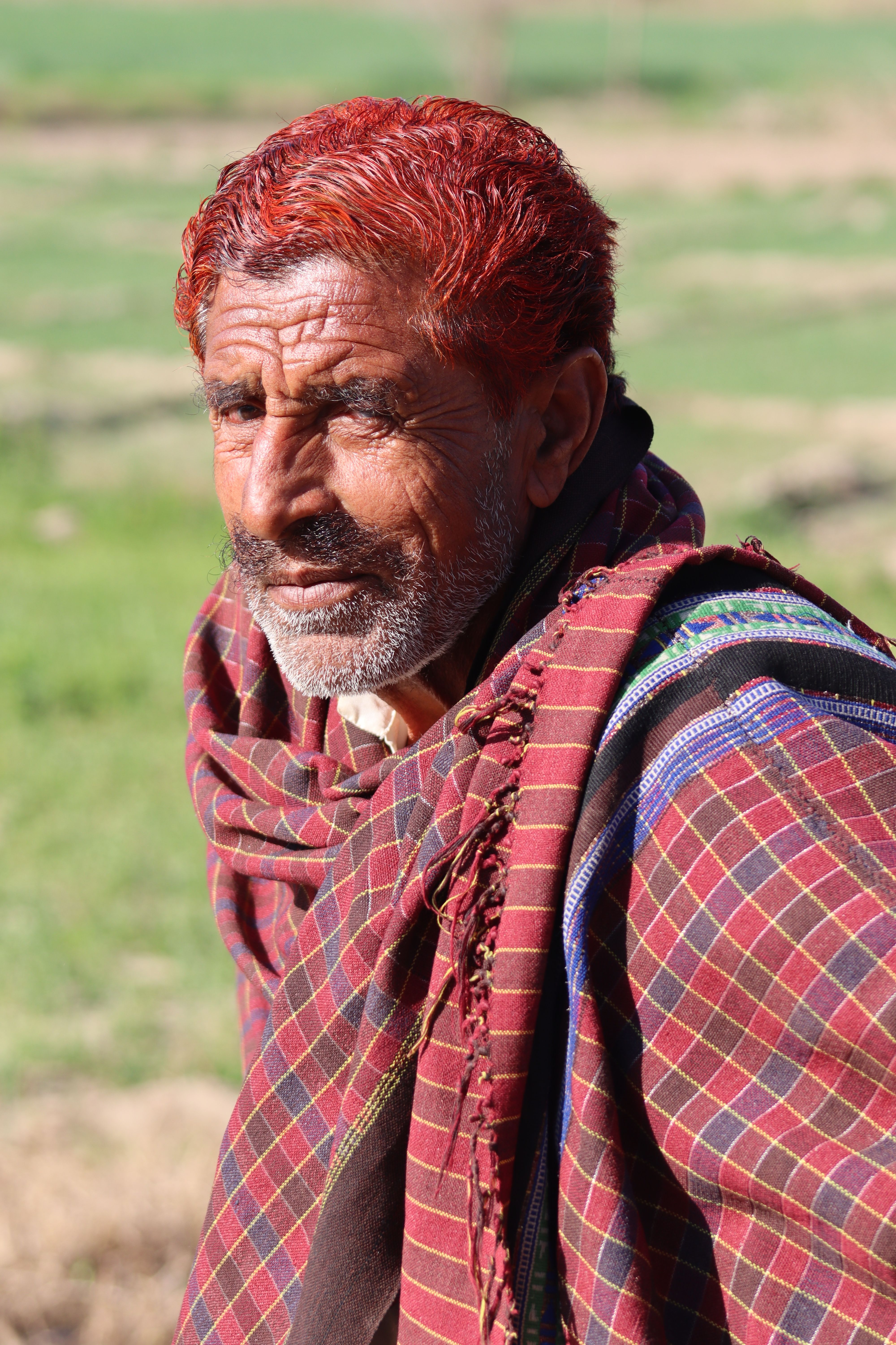 Portrait of Elderly Man in Rural Setting · Free Stock Photo