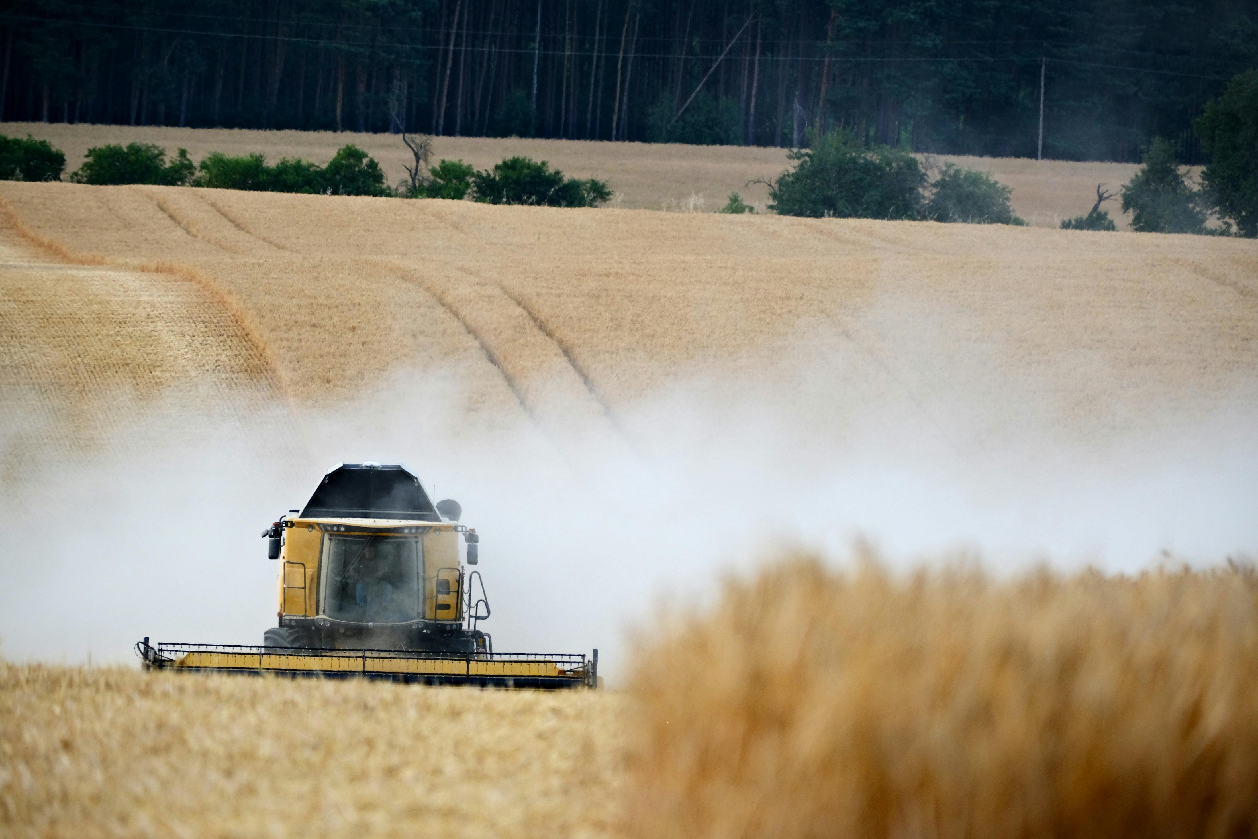 specialty diets specialty diesel services — Photo by Roman Biernacki on Pexels